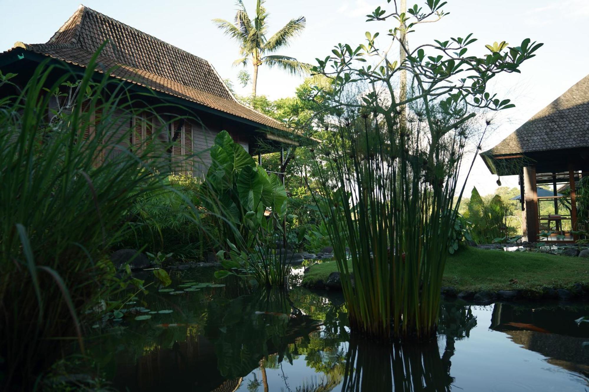 Villa Amaru Ubud Exterior foto